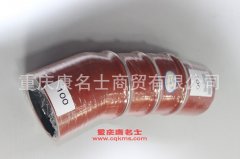 發(fā)動(dòng)機(jī)膠管膠管1119050-D848